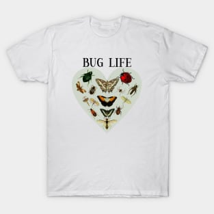 Entomology / Bug Lover /Entomologists / Bug Life T-Shirt